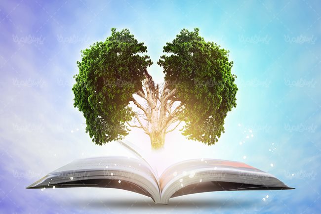 چه ارتباطی بین کتاب و درخت وجود دارد؟