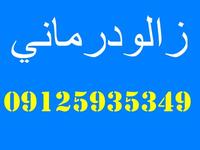 بهترین مرکز زالو درمانی در تهران 09125935349