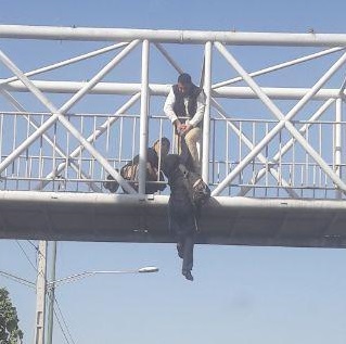 خودکشی دختر تهرانی به سبک دو دختر اصفهانی +عکس +عکس | لحظه نجات دختری که می خواست از روی پل لپرد