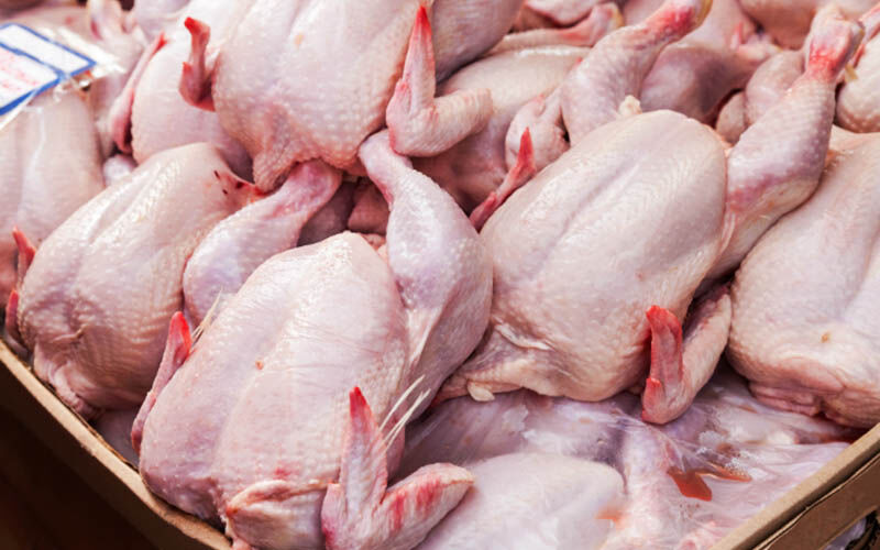 مرغ گرم با قیمت ۱۸ هزار و ۵۰۰ تومان در بازار توزیع می شود