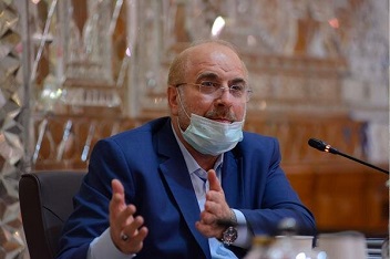 رئیس مجلس بر شناسایی، دستگیری و مجازات عوامل ترور فخری‌زاده، تاکید کرد