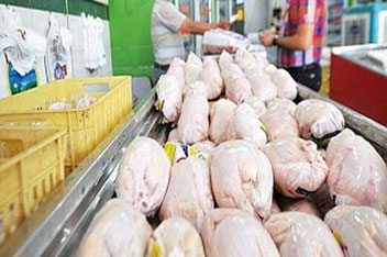 کاهش قیمت مرغ در هفته جاری