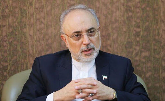 صالحی: دست ایران در مذاکرات وین از نظر فنی بسیار پر است