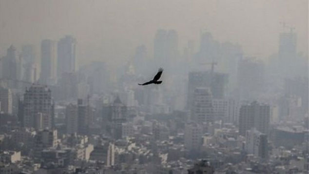 توصیه اکید اورژانس در پی تداوم آلودگی هوا در پایتخت: از خانه بیرون نروید