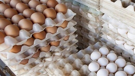 وزیر جهاد کشاورزی: بازار تخم‌ مرغ تا ۳ روز آینده متعادل می‌ شود