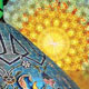 در مسیر حیات طیبه