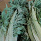 بیلهرپلو؛ غذای آهنین
