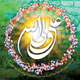 از غدیر سیاست تا حکمت ولایت