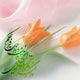 ویژگی های حکومت مهدی موعود
