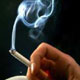چوب حراج برسلامت