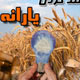 هدف، هدفمندی یارانه تولید و خدمات ایرانی
