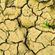 خشکسالی چیست؟