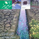 سرزمین سبز ـ سال هفتم، شماره ۷۶، مهر ۱۳۸۸