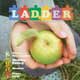 ladder ـ ۲۳