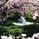 نماز و آثار مادی و معنوی آن