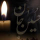 جلوه های عشق در نهضت حسین(ع)