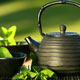 چای سبز مرغوب را از کجا بشناسیم؟