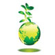 درخت یعنی همه چیز