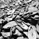 لیبرالیسم نو درباره بازار چه می گوید؟