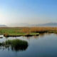 زریوار نگین فیروزه ای مریوان