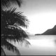 شعر آیینی... نقطه سر خط