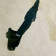 برای ازدواج مجدد ۲ سال صبر کنید!