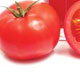 نسخه ای برای زیبایی پاییزی