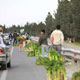 کودکان کار در انتظار مهرورزی