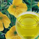 خواص دارویی گل مغربی