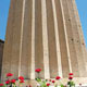 آنجا که کویر به جنگل می‌رسد