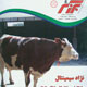 برزگر ـ سال سی ام، شماره ۱۰۲۵، تیر ۱۳۸۸