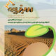 سبزینه ـ سال چهارم، شماره ۳۱، خرداد  ۱۳۸۸