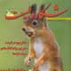 شکار و طبیعت ـ شماره ۱۱۵، فروردین و اردیبهشت ۱۳۸۹
