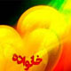 نگاهی به جایگاه خانواده در اسلام