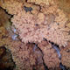 رودافشان نزدیک ترین غار به کلانشهر تهران