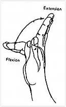 حرکت مفصل کف دست و بند اول انگشتان 