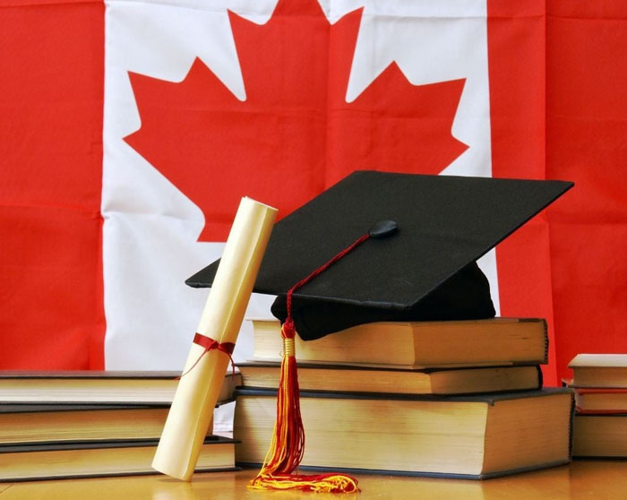 A graduation cap and diploma on top of booksAI-generated content may be incorrect.