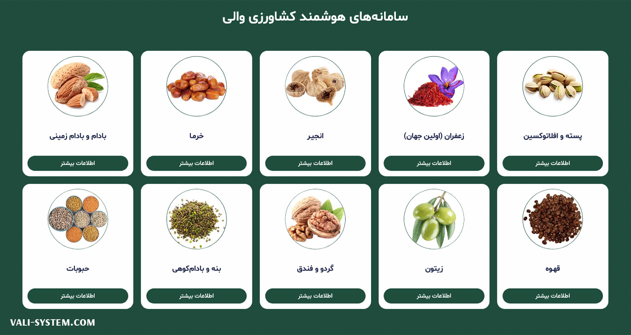 دستگاه سورتر پسته، خرما و حبوبات