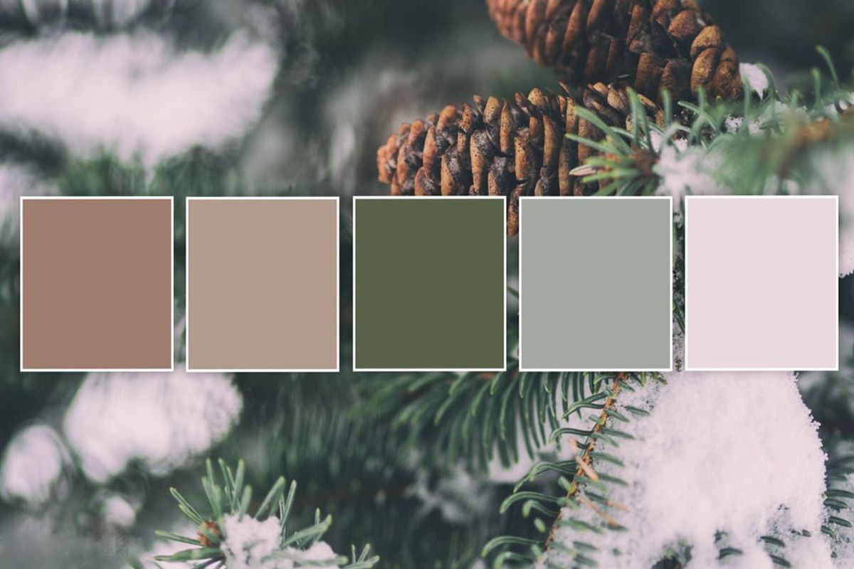 رنگبندی مناسب زمستان