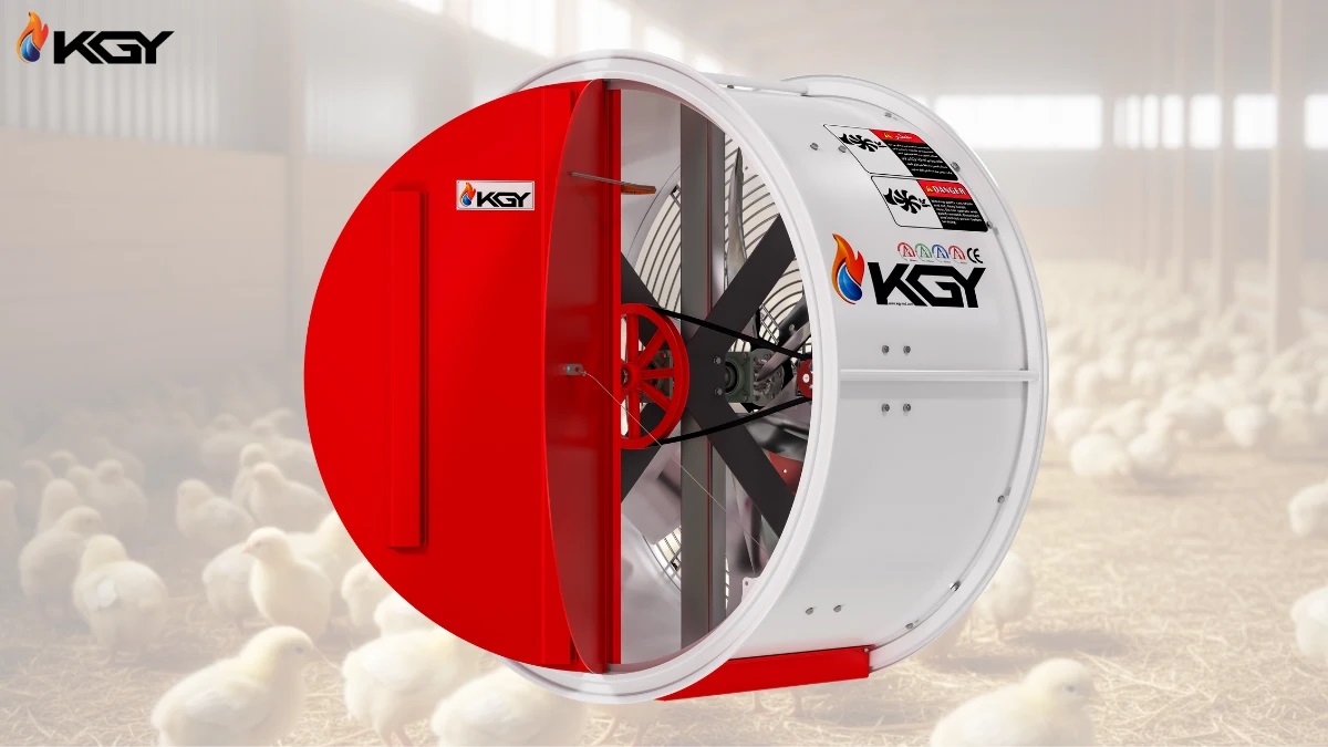 بهترین فن مرغداری