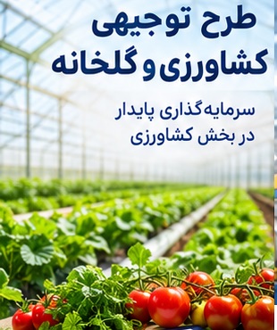 نمونه طرح توجیهی