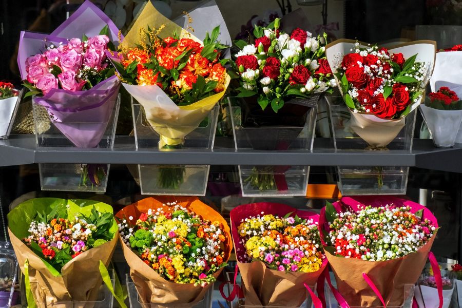 تخفیف ویژه خرید انواع گل